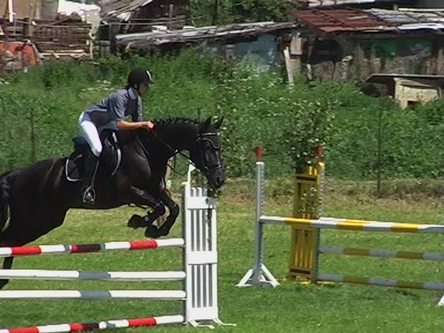 Simka a Baron3