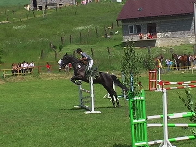 Simka a Baron5