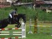 Simka a Baron3
