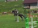 Simka a Baron5