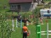 Simka a Baron8