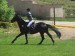 Simka a Baron9